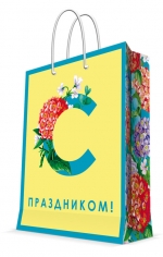 Пакет подарочный